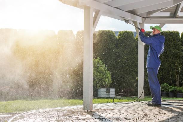 Best Roof Washing  in Princeton Meadows, NJ